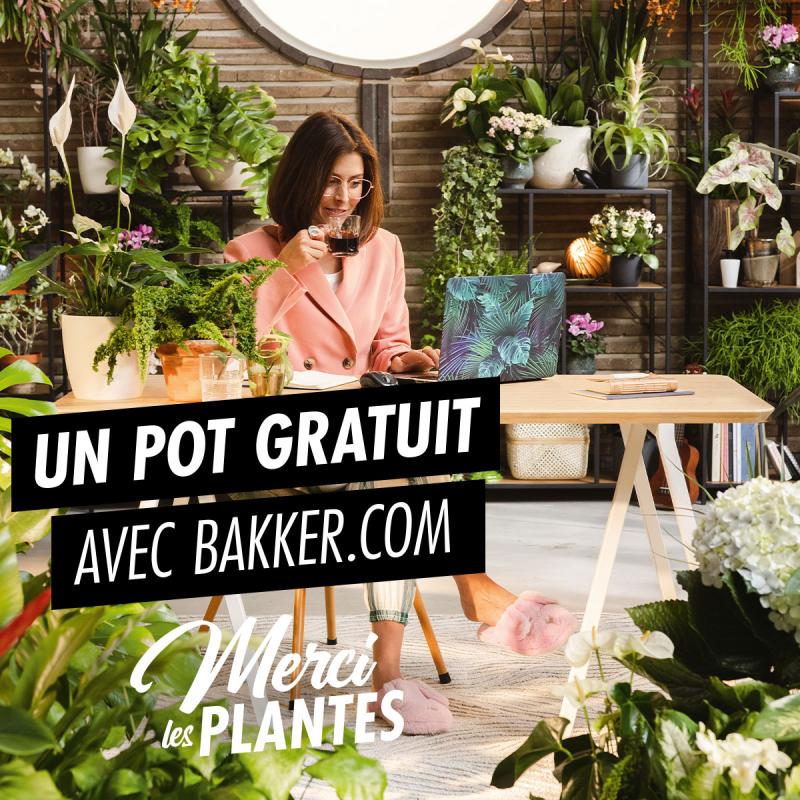 Merci les Plantes avec Bakker.com