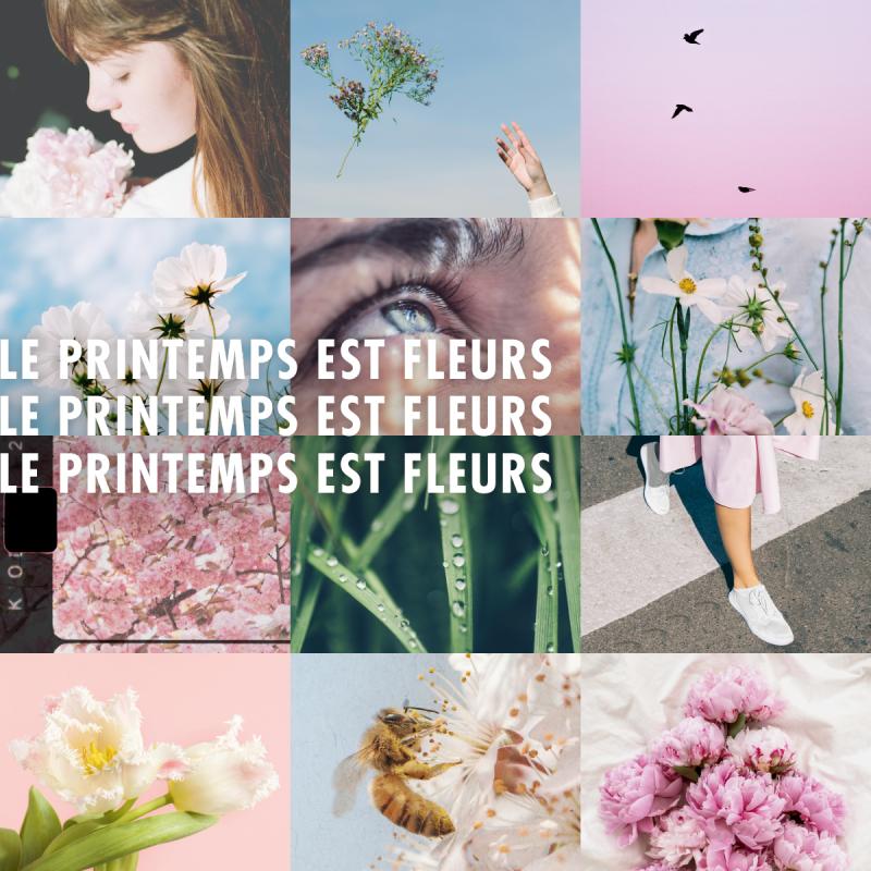 Planche 9 des Dominos sur les fleurs de printemps et d'été - Tête